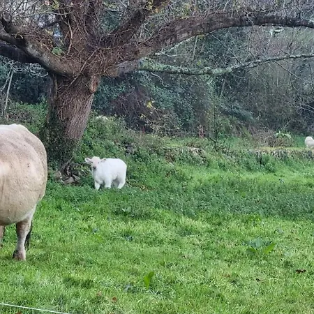 Les Texuques Apartment *