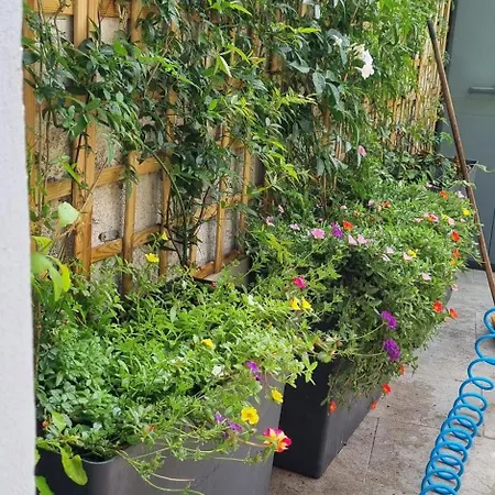 Les Texuques * Nueva De Llanes